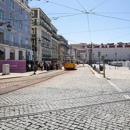 Plum Guide - The Pursuit Of Trivia